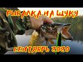 РЫБАЛКА НА ЩУКУ. СЕНТЯБРЬ 2020