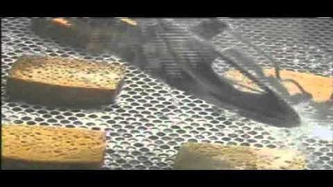 Water Transfer Printing Machinery Equipment - Manual Way