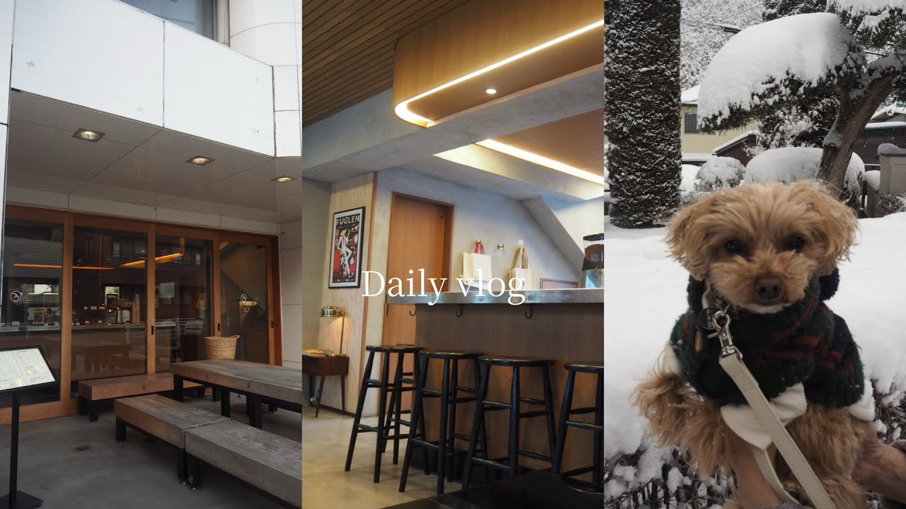 OLの日常💻|愛犬と過ごす休日 ・カフェモーニング　#社会人vlog #olの休日 #vlog #マルプー #cafe #カフェ巡り #puppy 