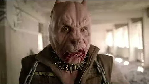 DIE ANTWOORD - PITBULL TERRIER