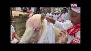 Bizarre: White Horse superstition in Gohpur's Jalukbari in Assam screenshot 3