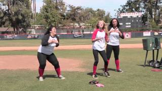Baseball Promposal