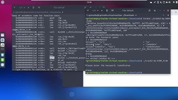 Ingeniería inversa y cracking de un programa simple con Linux 01