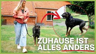 ⁠⁠Training klappt nur auf dem Platz? Das steckt wirklich dahinter