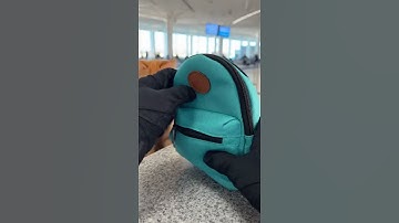 When TSA catches you smuggling catnip 😼✈️”