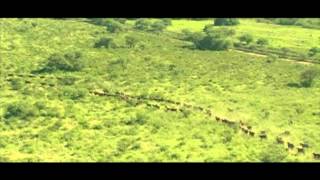 Dakar Rally 2015 Team HRC Stage 12