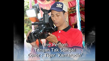 Live Tiger