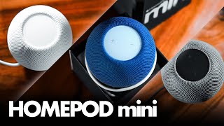 White, Black, and Blue HomePod Mini