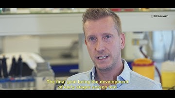 Neurons: from scratch to cerebral cortex