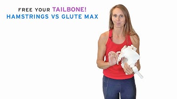 Free your Tailbone! Hamstrings Vs Glute Max