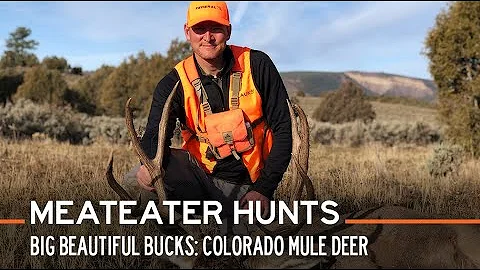 Big Beautiful Bucks: Colorado Mule Deer | S2E03 | ...