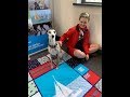 A Day with Louie the whippet, Therapy Dog at work at CatZero