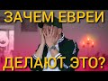 Зачем евреи делают это? Переезд в Германию 2021 - Алябьев