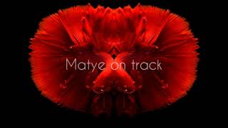 Matye on Track #4