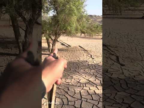 عين القشاشية في وادي فاطمه ٢١ ذو القعدة ١٤٤٥ ه الموافق ٢٩ مايو ٢٠٢٤