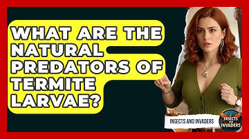 What Are The Natural Predators Of Termite Larvae? - Insects and Invaders