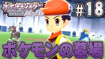 だいだらダイパリメイク17