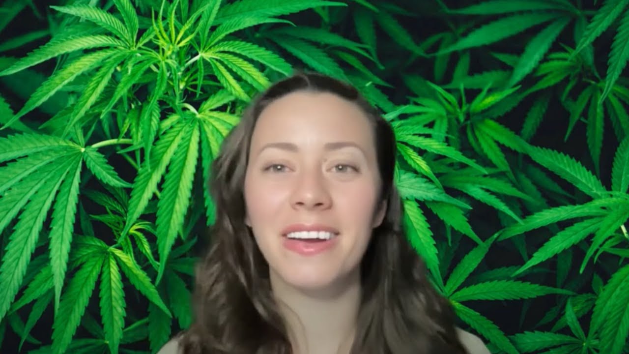 Auto-Flowering vs. Photoperiod Strains - Which one is better?