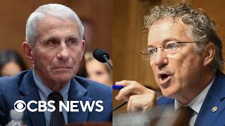 Inside Sen. Rand Paul's accusations against Dr. Anthony Fauci, which Fauci denies