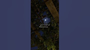 القارئ:شريف مصطفى . سورة: الفاتحة