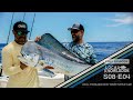 Local knowledge s8e4 green turtle club part 1