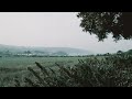 Powder Melanie Martinez Slowed Powder Melanie Martinez Slowed