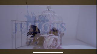 【非公式】JEALOUS/禍P【勝手にmv作ってみた】