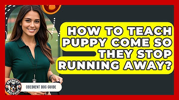 How To Teach Puppy Come So They Stop Running Away? - Obedient Dog Guide