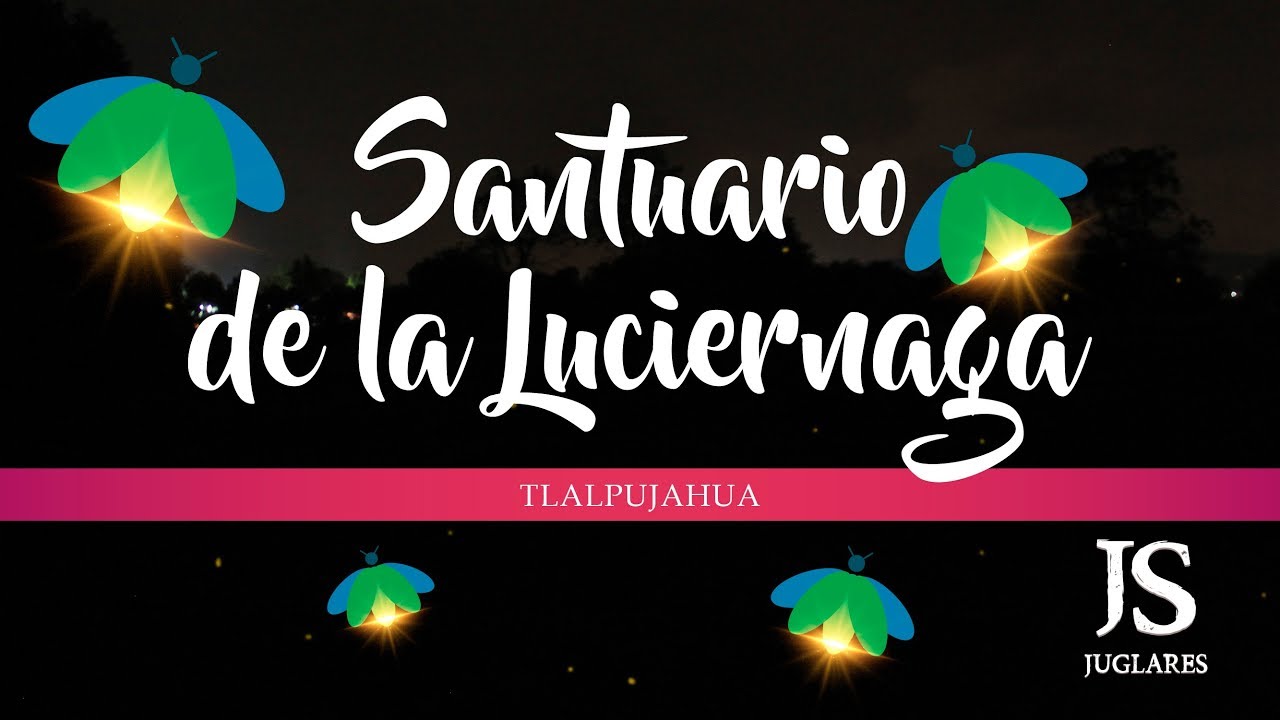 Santuario de las Luciérnagas Revista Juglares