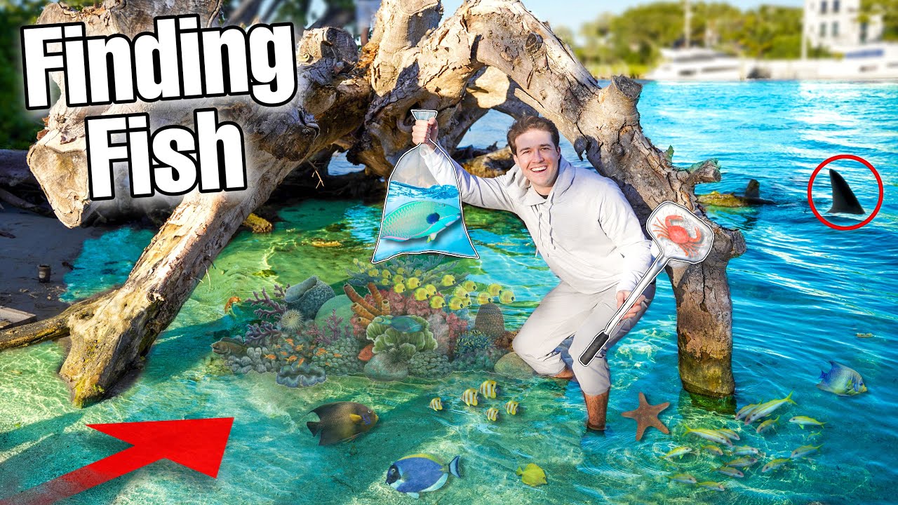 Catching Fish At ABANDONED Location For My Aquarium! - YouTube