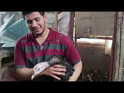 كل حاجه اتنقلت من مكانها 