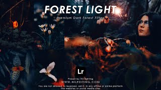 How to Edit Dark Forest Photography | Mobile Lightroom Presets DNG & XMP Free Download