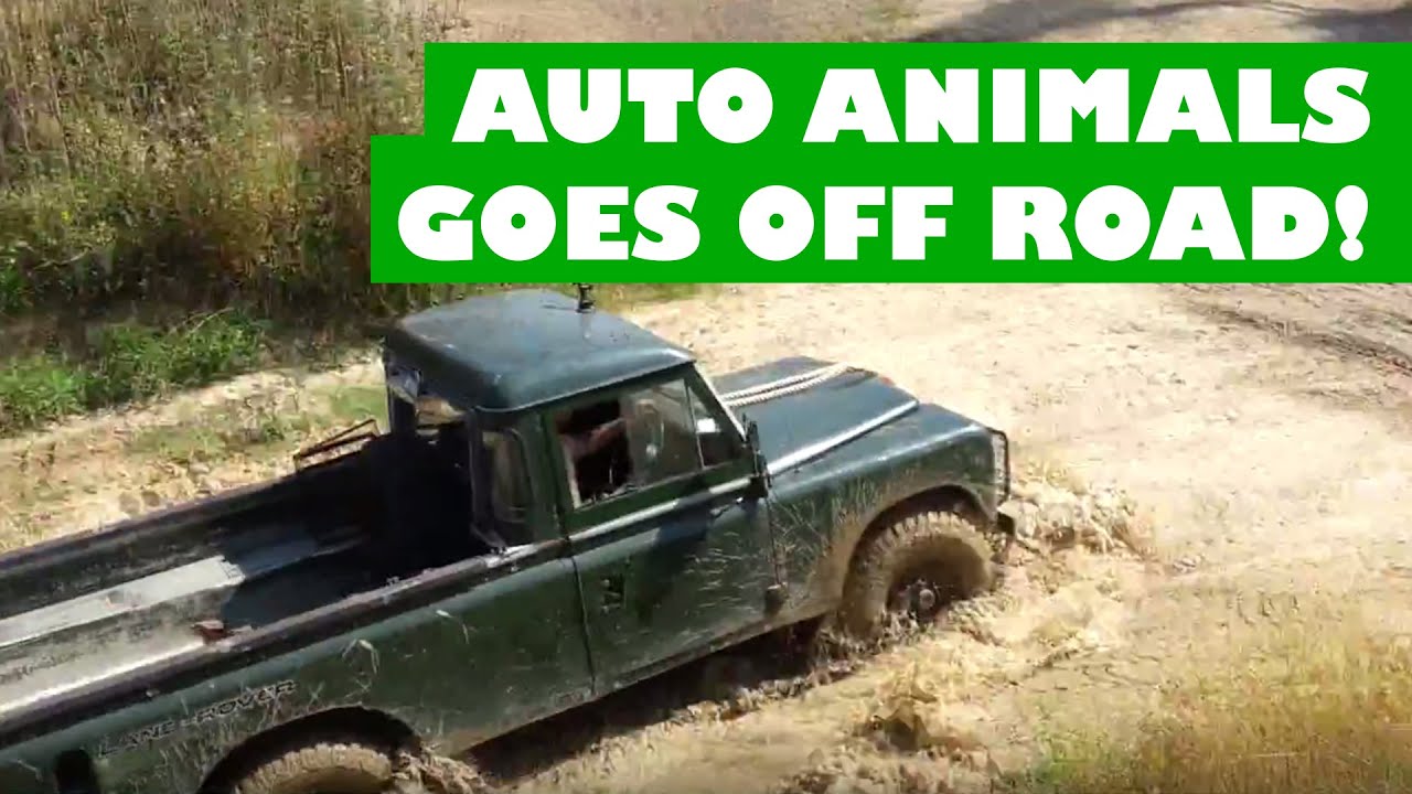 Off Road Muddy Fun! We go green-laning and off-roading in an old Land Rover Series 3 & Discovery 3
