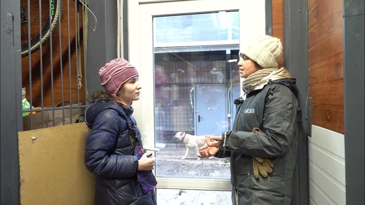 МАЛЕНЬКИЕ ДРУЗЬЯ С БОЛЬШИМ СЕРДЦЕМ - YouTube