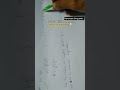 #removablesingularity #singularity #complexanalysis #maths #learnwithsaloni
