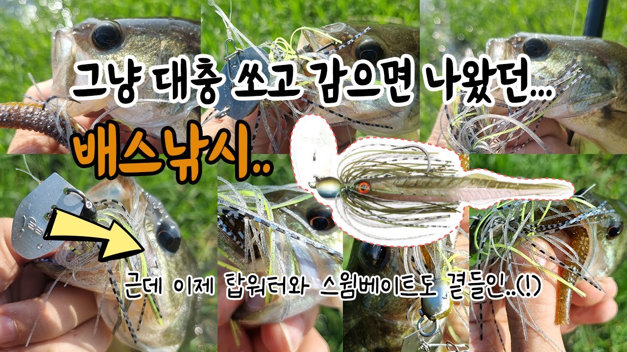 던지고 감으면 나오는 배스 낚시! 역시나 짜치 손맛터 전문(?) #배스낚시 #bassfishing