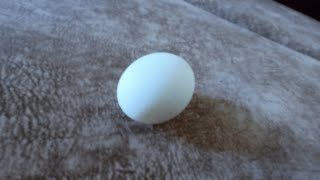 обзор на яйцо под дабстеп 2016.mp3