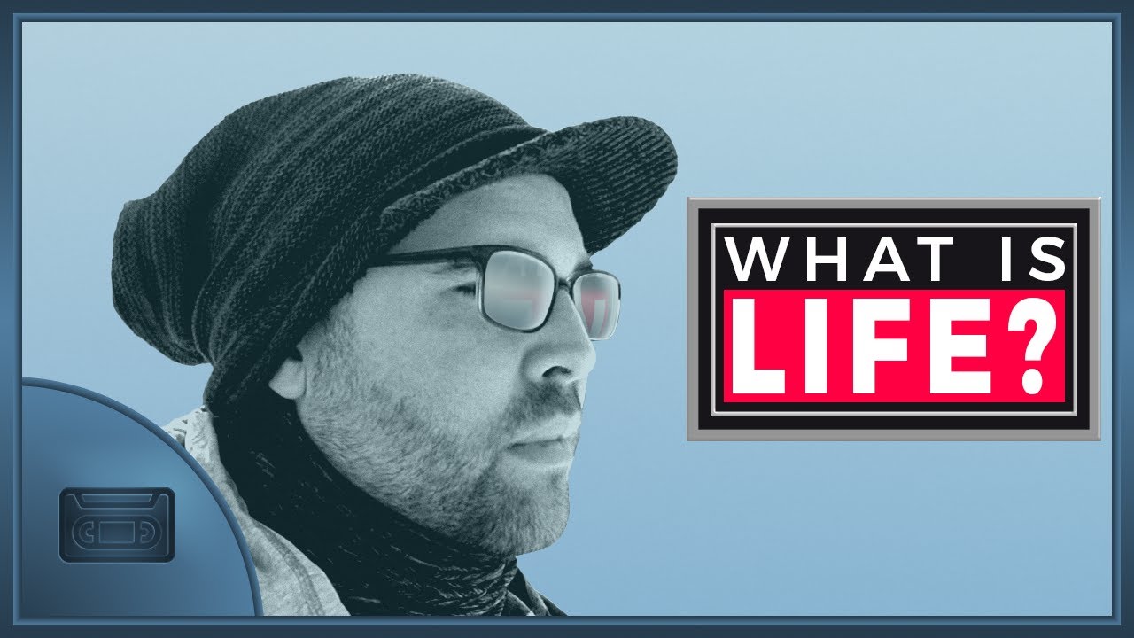 I Survived 2020... But At What Cost?