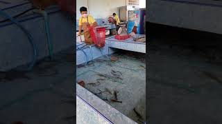 Fishing Seafood Restaurant Tha…