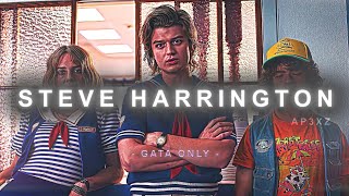 Stranger Things - Steve Harrington Edit Gata Only