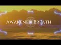 Dynamic breathwork   advanced version 