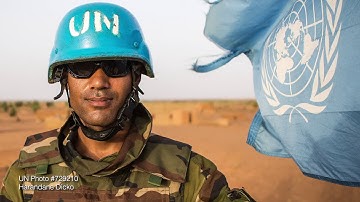 Introduction to the UN System: Introduction