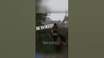 ТУПЫЕ тиммейты в РАСТ | RUST  #rust #растклассика #растклассика