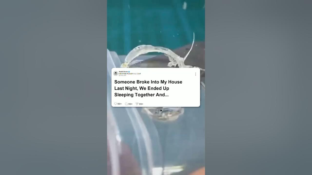 Someone BROKE into my house LAST night. We ended up SLEEPING TOGETHER