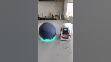 Cozmo asks Alexa to fart, part 2 #shorts