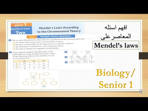 mendel&rsquo;s laws  questions biology 1st secondary اسئله المعاصر