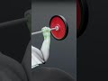 🇺🇸Stop Doing Bench Press Wrong | Perfect Chest Press Form💪