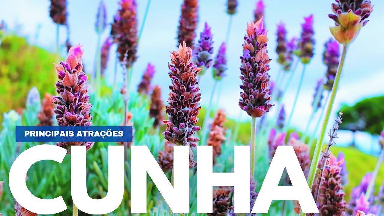 CUNHA-SP | O que fazer em 02 dias