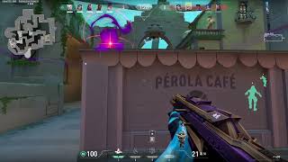 Veto & Astra, (Pearl, Haven) Competitive Highlights 04-11-25