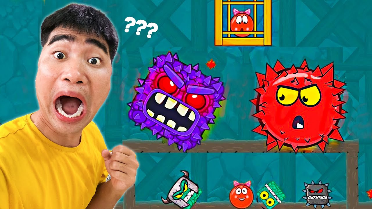 Gấu Đỏ Đưa Quả Cà Chua Vượt Qua Các Thử Thách Nguy Hiểm Về Đích